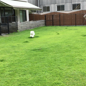 あらちとまんごろっち‥お外では仲良し〜☆の画像