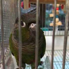 バードホテルの画像