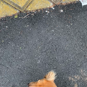 三月ですね。の画像