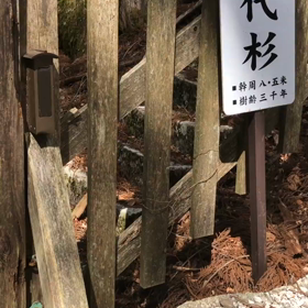 玉置神社のエネルギーと高野山のエネルギーの画像