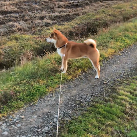 一年前のシオン。。。の画像