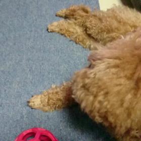 まったりの画像