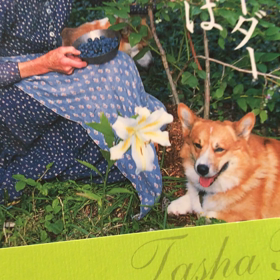 感謝！私のラジオ　１分間動画　聞いて下さいな。の画像