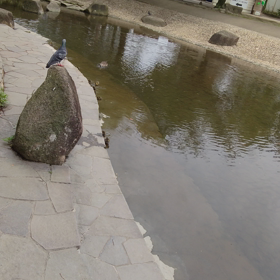 親がもと子がもたちの画像