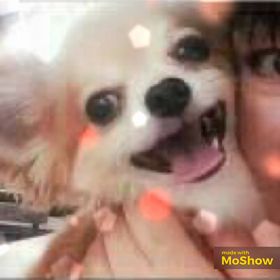 ジュウガツがきた〜の画像