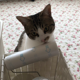 なんだろ（笑）の画像