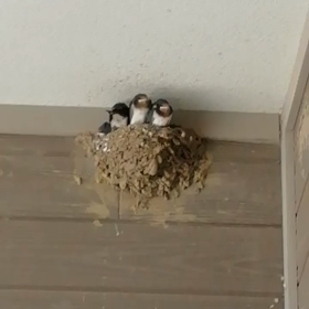 自分のこと、家族のことの画像