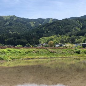 ひだ7号！の画像