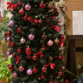 クリスマスツリーがやって来たの画像