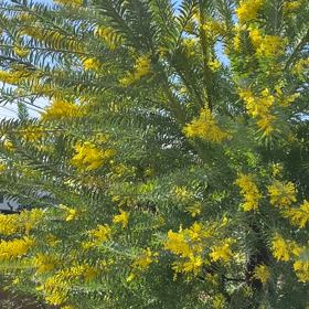 4月スタート！！！の画像