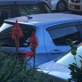 今日は3分間電話の日     主人…ギックリ腰にの画像