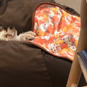 日曜日の午後の画像