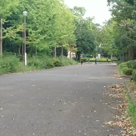 クラブ交流 女子リレー選考会②の画像