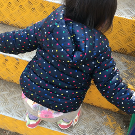 先日の出来事の画像