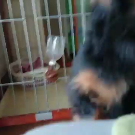 るぃちゃん通信☆ﾆｶﾆｶ笑い？の画像