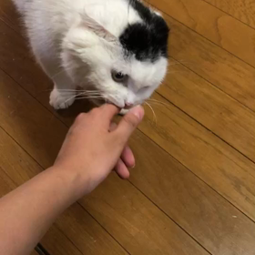 何を訴えてるの？の画像