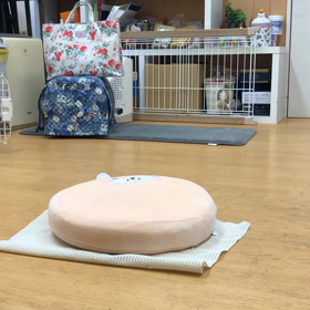 まぁ、どんな乗り方でもいいんだけどさ。の画像