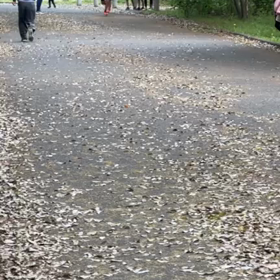 リレー選考会(男子)中間付近⑤の画像