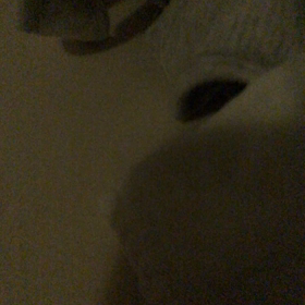 ネントレでママも号泣の画像