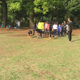 基本動作(ダッシュの場)⑦の画像