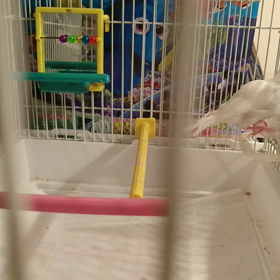 帰宅パートⅡの画像