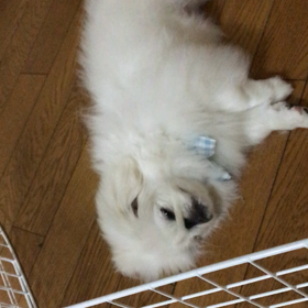 初サロン♫の画像