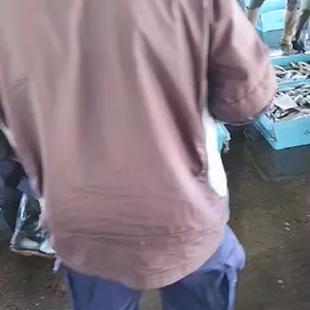 おはようございます。の画像