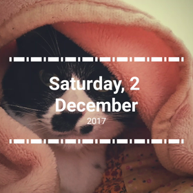 ☆すごいにゃ☆の画像