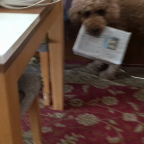 お仕事お仕事の画像