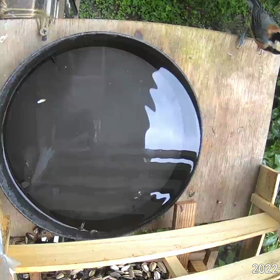 すぎぴたんの事件簿シーズン2　345話（ヤマガラ兄弟）の画像