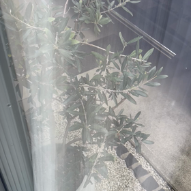 夫〜美肌になる⁉️眼瞼下垂症のおかげ⁉️の画像