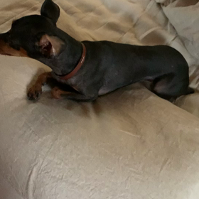 あっかーんの画像