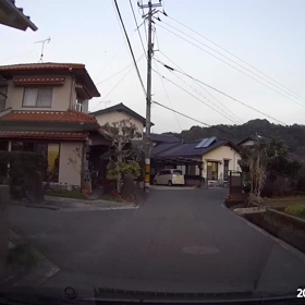 今日のウマさんシカさんの画像