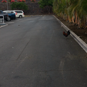 謹賀新年 welcome Rooster year~の画像