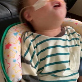 今日のつばちゃんの画像