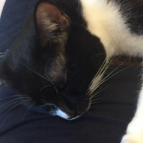 口角が上がる動画の画像