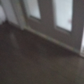 今日のはなちゃん114、モモちゃん69の画像