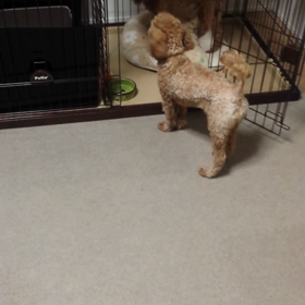 引きこもり☆の画像