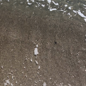 せっかくのGWもステイホームの画像