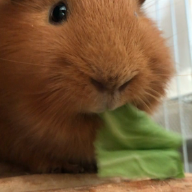 興味なし。の画像