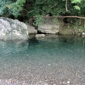 なつー❗の画像