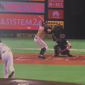 珍プレー ①の画像