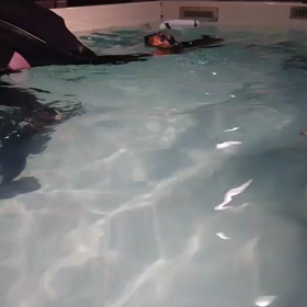 12/22アルカ プール️の画像