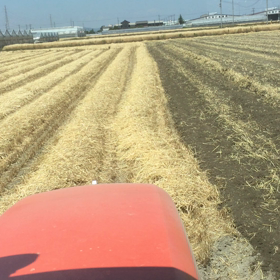 今日も暑いからの画像