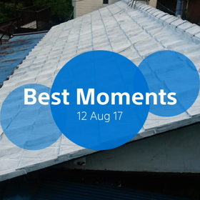 屋根の上のタオ8の画像