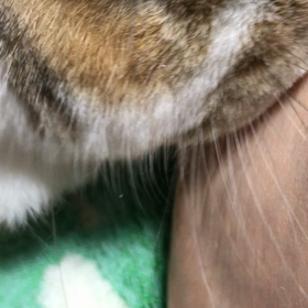 夜中になってしまいの画像