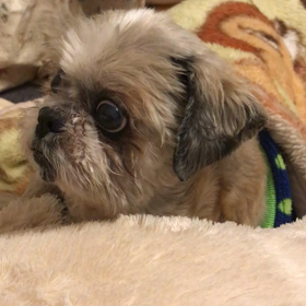 ほっぺがプクーの画像