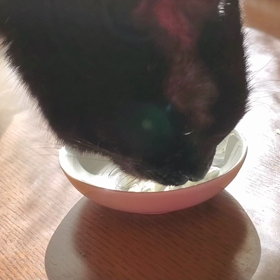 コーヒーにのってなくてもの画像