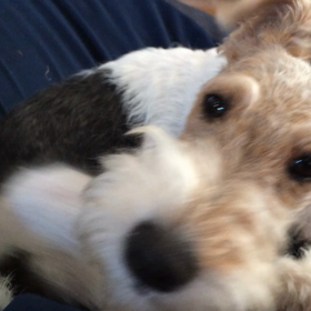 見つかっちゃった！の画像