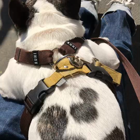 ぶらんこにのりましたの画像